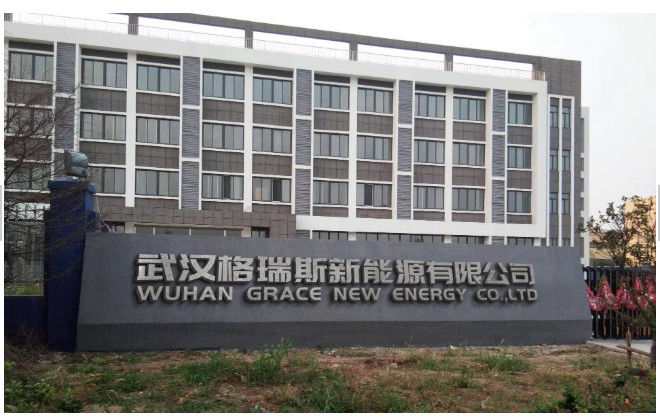 China WUHAN GRACE NEW ENERGY CO., LTD. Unternehmensprofil 